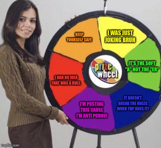Msmg wheel of morality | KEEP YOURSELF SAFE; I WAS JUST JOKING BRUH; IT'S THE SOFT "A" NOT THE "ER"; I HAD NO IDEA THAT WAS A RULE. IT DOESN'T BREAK THE RULES WHEN THP DOES IT! I'M POSTING THIS CAUSE I'M ANTI P0RN0! | image tagged in six parts wheel,wheel of morality,turn turn turn,teach us the lesson,that we must learn | made w/ Imgflip meme maker