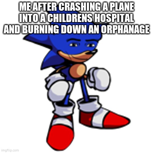 sonic man face | ME AFTER CRASHING A PLANE INTO A CHILDRENS HOSPITAL AND BURNING DOWN AN ORPHANAGE | image tagged in sonic man face,dark humor | made w/ Imgflip meme maker