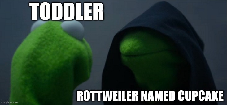 Evil Kermit | TODDLER; ROTTWEILER NAMED CUPCAKE | image tagged in memes,evil kermit | made w/ Imgflip meme maker