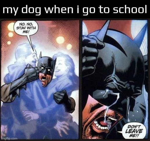 Batman don't leave me | my dog when i go to school | image tagged in batman don't leave me | made w/ Imgflip meme maker
