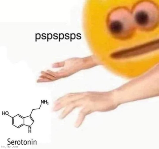 serontonin. | image tagged in serotonin pspspsps | made w/ Imgflip meme maker