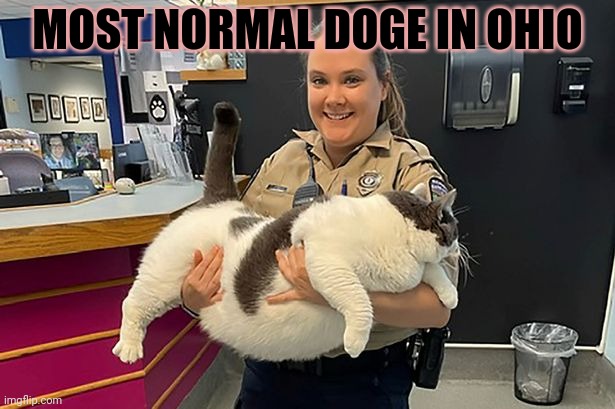 Repost this doge | MOST NORMAL DOGE IN OHIO | image tagged in repost,this,doge | made w/ Imgflip meme maker