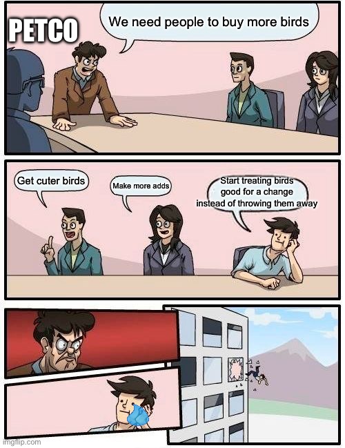 Boardroom Meeting Suggestion | We need people to buy more birds; PETCO; Start treating birds good for a change instead of throwing them away; Get cuter birds; Make more adds | image tagged in memes,boardroom meeting suggestion,bird | made w/ Imgflip meme maker