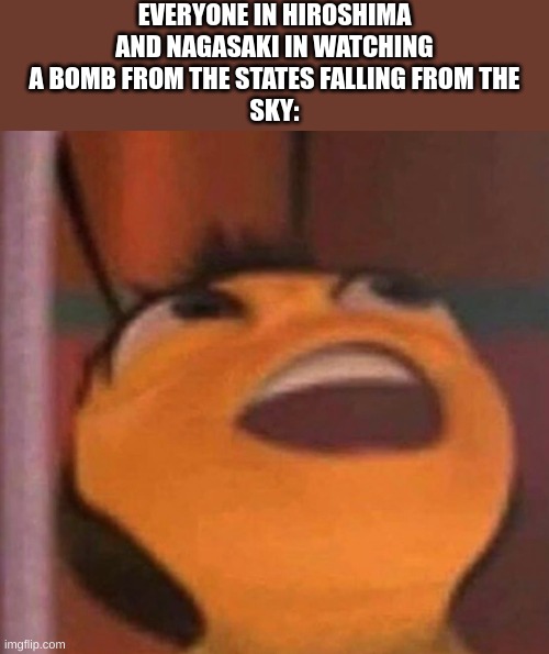 Bee Movie | EVERYONE IN HIROSHIMA
AND NAGASAKI IN WATCHING
A BOMB FROM THE STATES FALLING FROM THE
SKY: | image tagged in bee movie | made w/ Imgflip meme maker