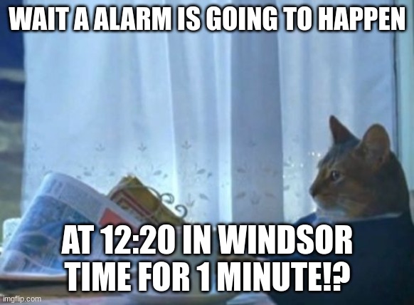 alarm | WAIT A ALARM IS GOING TO HAPPEN; AT 12:20 IN WINDSOR TIME FOR 1 MINUTE!? | image tagged in memes,i should buy a boat cat | made w/ Imgflip meme maker