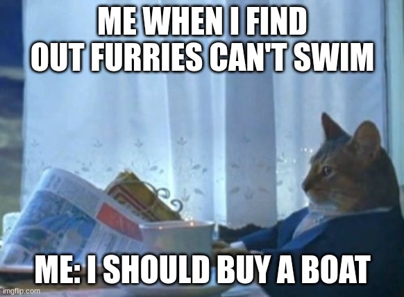 I Should Buy A Boat Cat Meme | ME WHEN I FIND OUT FURRIES CAN'T SWIM; ME: I SHOULD BUY A BOAT | image tagged in memes,i should buy a boat cat | made w/ Imgflip meme maker
