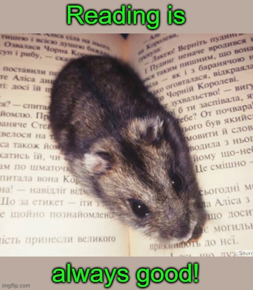 Literary hamster | Reading is always good! | image tagged in literary hamster | made w/ Imgflip meme maker