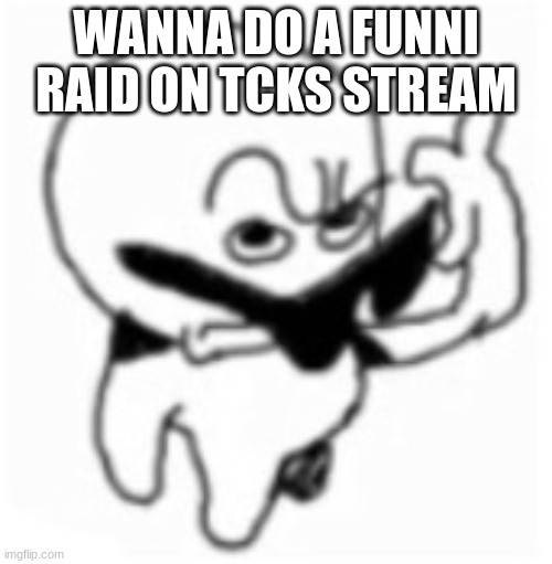 what did you say bro? | WANNA DO A FUNNI RAID ON TCKS STREAM | image tagged in what did you say bro | made w/ Imgflip meme maker