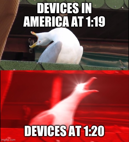 Fr why | DEVICES IN AMERICA AT 1:19; DEVICES AT 1:20 | image tagged in screaming bird | made w/ Imgflip meme maker