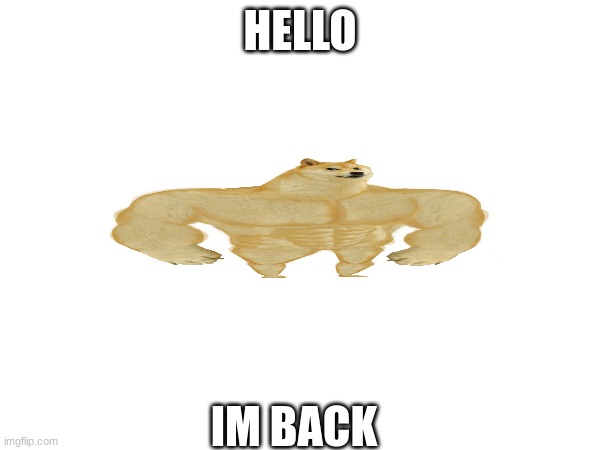 im abck | HELLO; IM BACK | image tagged in im back | made w/ Imgflip meme maker