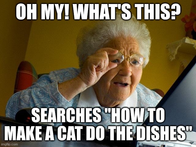 what | OH MY! WHAT'S THIS? SEARCHES "HOW TO MAKE A CAT DO THE DISHES" | image tagged in memes,grandma finds the internet | made w/ Imgflip meme maker