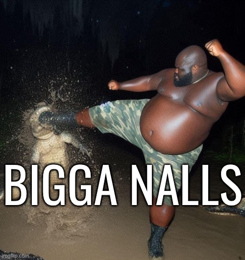BIGGA NALLS | made w/ Imgflip meme maker
