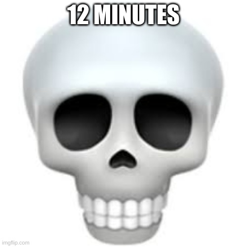 Skull | 12 MINUTES | image tagged in skull | made w/ Imgflip meme maker