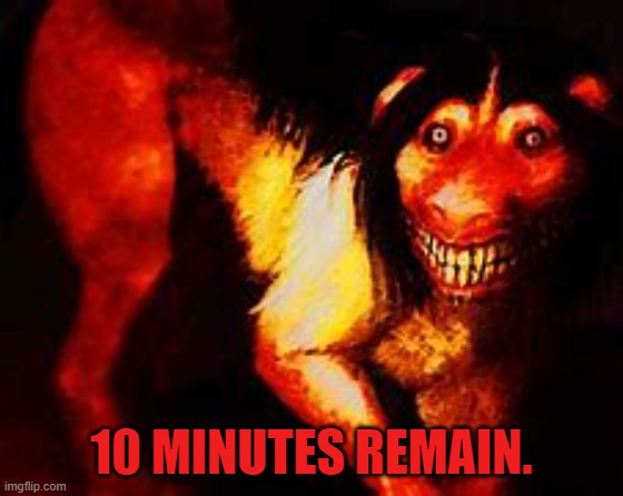 Smile dog | 10 MINUTES REMAIN. | image tagged in smile dog | made w/ Imgflip meme maker