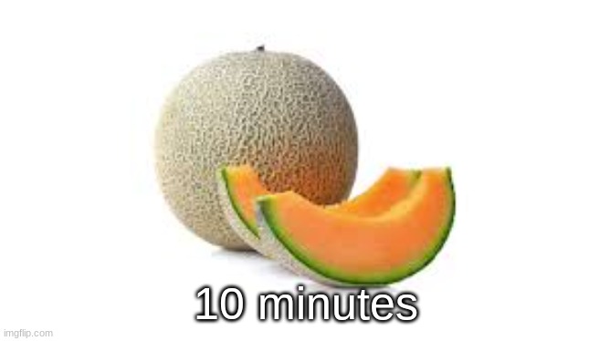 Yahiamice Cantaloupe | 10 minutes | image tagged in yahiamice cantaloupe | made w/ Imgflip meme maker