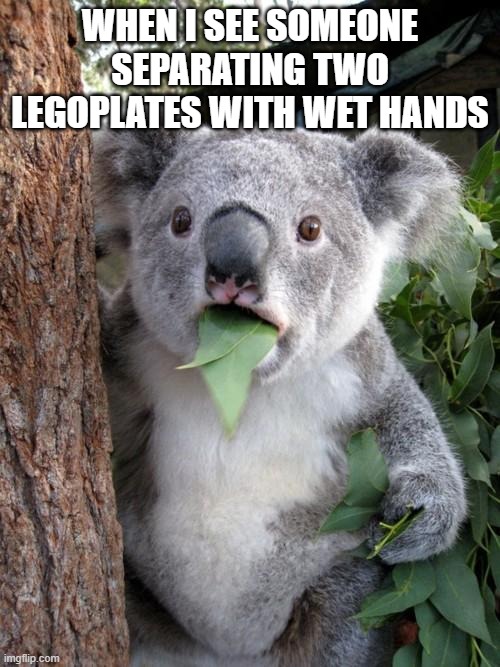 he is the true god of lego | WHEN I SEE SOMEONE SEPARATING TWO LEGOPLATES WITH WET HANDS | image tagged in memes,surprised koala,god of lego | made w/ Imgflip meme maker