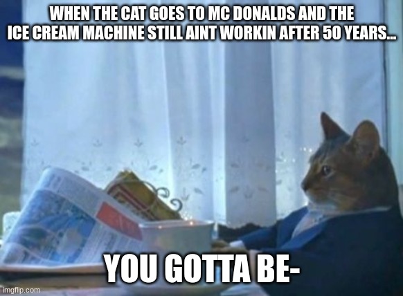I Should Buy A Boat Cat | WHEN THE CAT GOES TO MC DONALDS AND THE ICE CREAM MACHINE STILL AINT WORKIN AFTER 50 YEARS... YOU GOTTA BE- | image tagged in memes,i should buy a boat cat | made w/ Imgflip meme maker