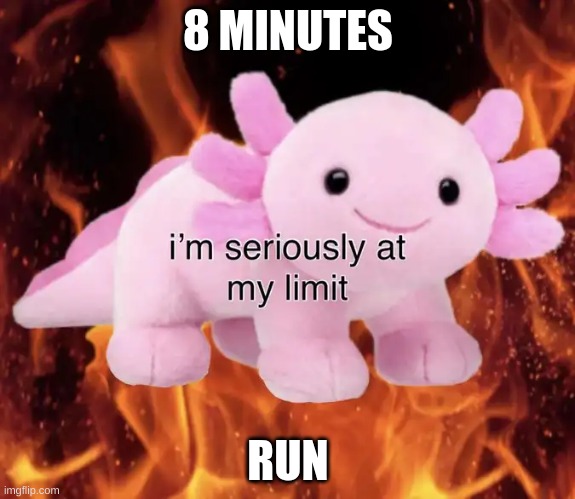 im srs at my limit | 8 MINUTES; RUN | image tagged in im srs at my limit | made w/ Imgflip meme maker