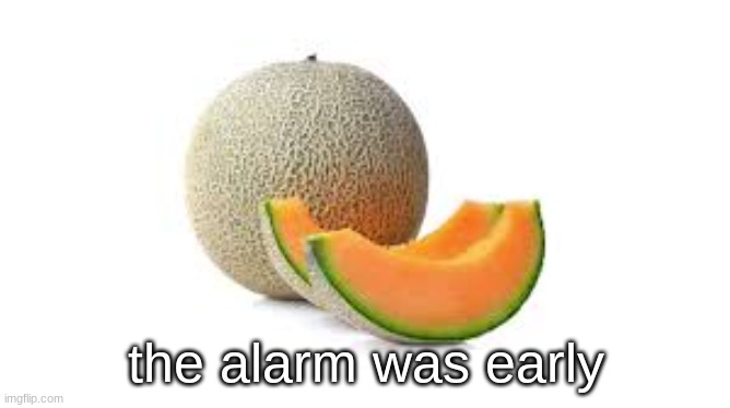 Yahiamice Cantaloupe | the alarm was early | image tagged in yahiamice cantaloupe | made w/ Imgflip meme maker