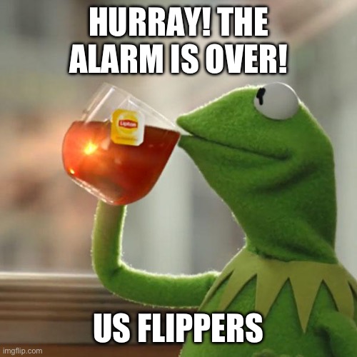 But That's None Of My Business Meme | HURRAY! THE ALARM IS OVER! US FLIPPERS | image tagged in memes,but that's none of my business,kermit the frog | made w/ Imgflip meme maker