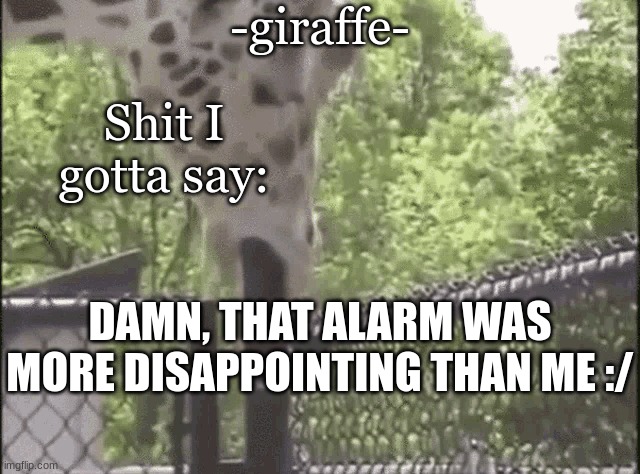 -giraffe- | DAMN, THAT ALARM WAS MORE DISAPPOINTING THAN ME :/ | image tagged in -giraffe- | made w/ Imgflip meme maker