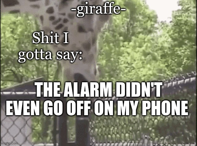 -giraffe- - Imgflip