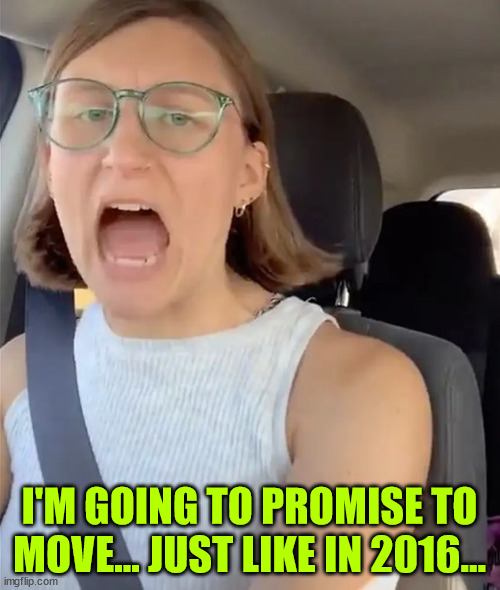 Unhinged Liberal Lunatic Idiot Woman Meltdown Screaming in Car | I'M GOING TO PROMISE TO MOVE... JUST LIKE IN 2016... | image tagged in unhinged liberal lunatic idiot woman meltdown screaming in car | made w/ Imgflip meme maker