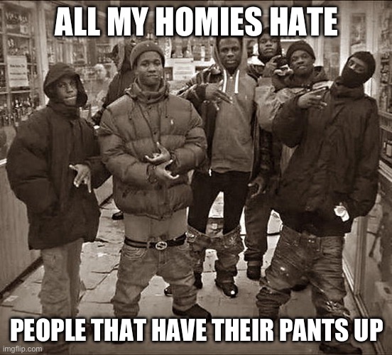 All My Homies Hate | ALL MY HOMIES HATE; PEOPLE THAT HAVE THEIR PANTS UP | image tagged in all my homies hate | made w/ Imgflip meme maker