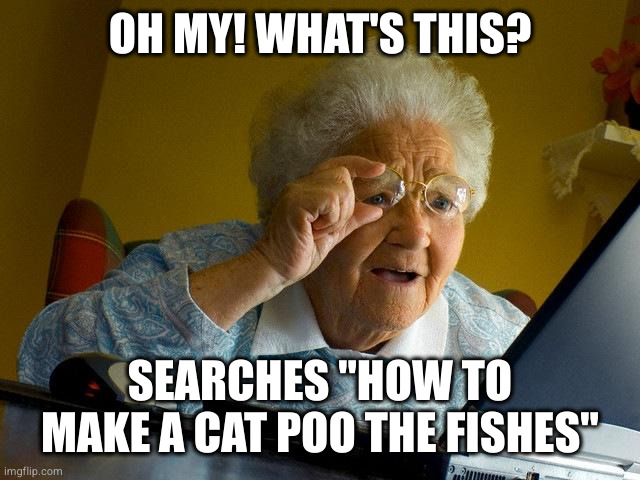 Grandma Finds The Internet Meme | OH MY! WHAT'S THIS? SEARCHES "HOW TO MAKE A CAT POO THE FISHES" | image tagged in memes,grandma finds the internet | made w/ Imgflip meme maker