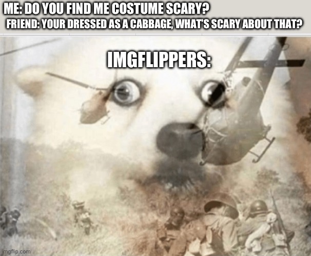 Time to spook the older user | FRIEND: YOUR DRESSED AS A CABBAGE, WHAT’S SCARY ABOUT THAT? ME: DO YOU FIND ME COSTUME SCARY? IMGFLIPPERS: | image tagged in ptsd dog | made w/ Imgflip meme maker