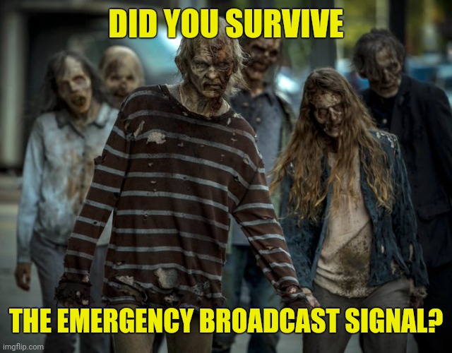 No I died. | DID YOU SURVIVE; THE EMERGENCY BROADCAST SIGNAL? | image tagged in memes | made w/ Imgflip meme maker