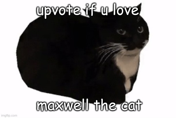 i luv him | upvote if u love; maxwell the cat | image tagged in maxwell the cat,memes | made w/ Imgflip meme maker