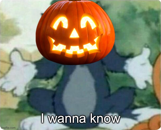 Tom Shrugging | I wanna know | image tagged in tom shrugging | made w/ Imgflip meme maker