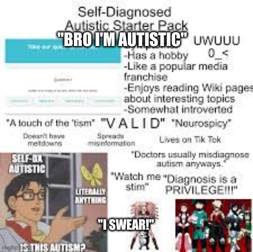 please dont hate me for this | "BRO I'M AUTISTIC"; "I SWEAR!" | made w/ Imgflip meme maker