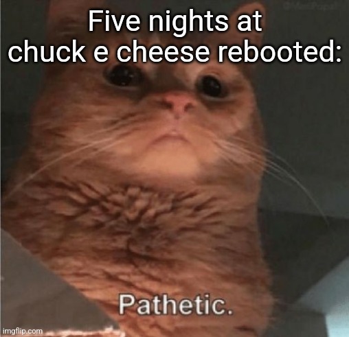 Pathetic Cat | Five nights at chuck e cheese rebooted: | image tagged in pathetic cat | made w/ Imgflip meme maker