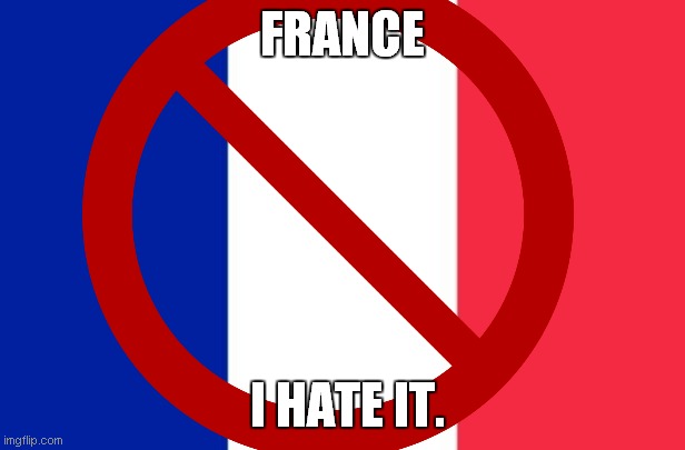 i hate france | FRANCE; I HATE IT. | made w/ Imgflip meme maker