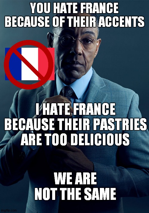 i hate very very france | YOU HATE FRANCE BECAUSE OF THEIR ACCENTS; I HATE FRANCE BECAUSE THEIR PASTRIES ARE TOO DELICIOUS; WE ARE NOT THE SAME | image tagged in gus fring we are not the same | made w/ Imgflip meme maker
