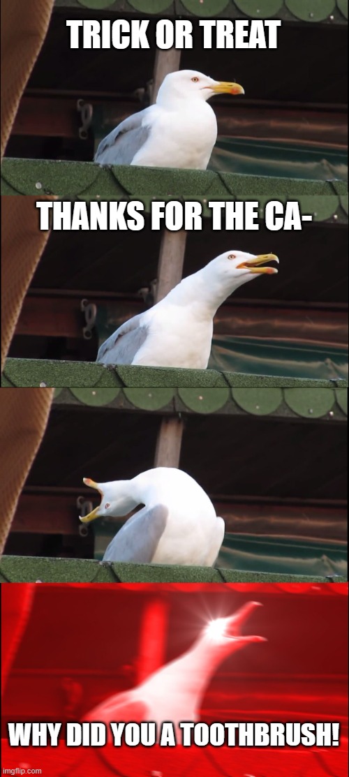 toothbrush | TRICK OR TREAT; THANKS FOR THE CA-; WHY DID YOU A TOOTHBRUSH! | image tagged in memes,inhaling seagull | made w/ Imgflip meme maker
