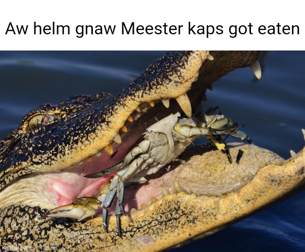 Aw helm gnaw Meester kaps got eaten | made w/ Imgflip meme maker