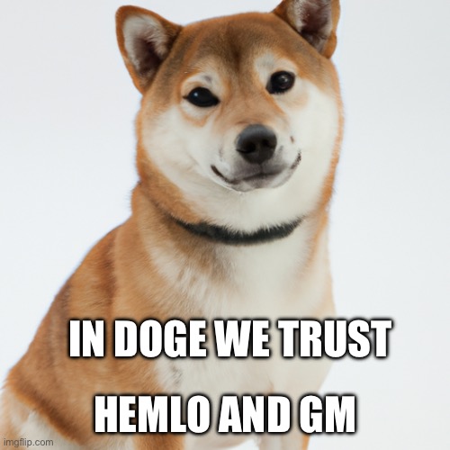 Shiba inu | IN DOGE WE TRUST; HEMLO AND GM | image tagged in shiba inu | made w/ Imgflip meme maker