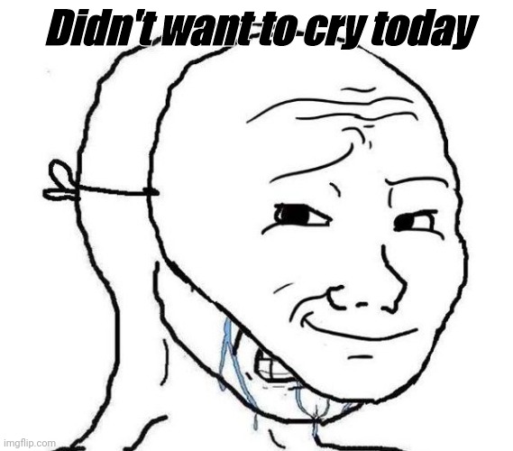 Smiling Mask Crying Man | Didn't want to cry today | image tagged in smiling mask crying man | made w/ Imgflip meme maker