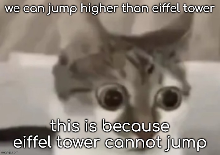 bombastic side eye cat | we can jump higher than eiffel tower; this is because eiffel tower cannot jump | image tagged in bombastic side eye cat | made w/ Imgflip meme maker