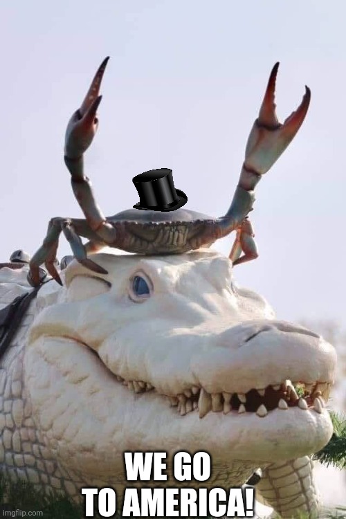 Crab on Crocodile | WE GO TO AMERICA! | image tagged in crab on crocodile | made w/ Imgflip meme maker