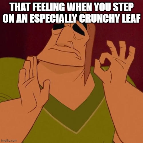noicee | THAT FEELING WHEN YOU STEP ON AN ESPECIALLY CRUNCHY LEAF | image tagged in when x just right | made w/ Imgflip meme maker