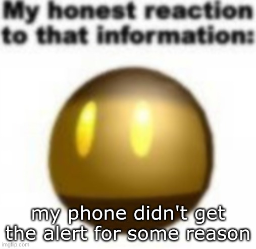 My honest reaction to that information: | my phone didn't get the alert for some reason | image tagged in my honest reaction to that information | made w/ Imgflip meme maker