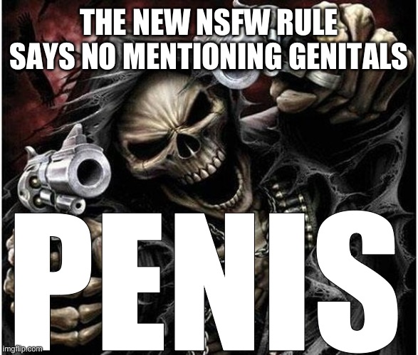 flipping the bird, I'll miss yall | THE NEW NSFW RULE SAYS NO MENTIONING GENITALS; PENIS | image tagged in badass skeleton | made w/ Imgflip meme maker