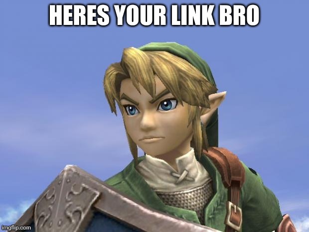 here is your link bro | image tagged in here is your link bro | made w/ Imgflip meme maker