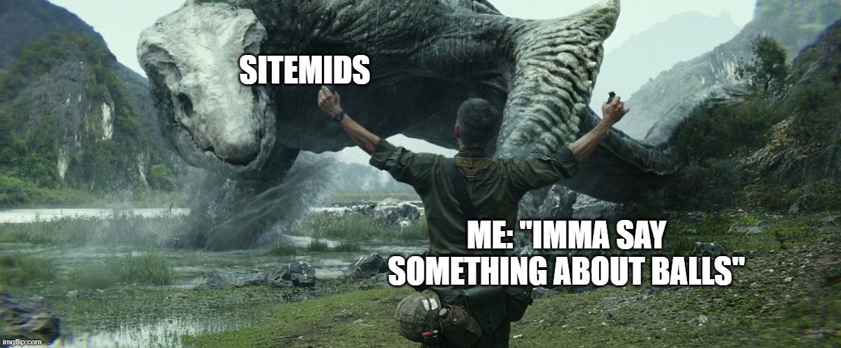 if i get banned, so be it. i have alternate accounts | SITEMIDS; ME: "IMMA SAY SOMETHING ABOUT BALLS" | made w/ Imgflip meme maker