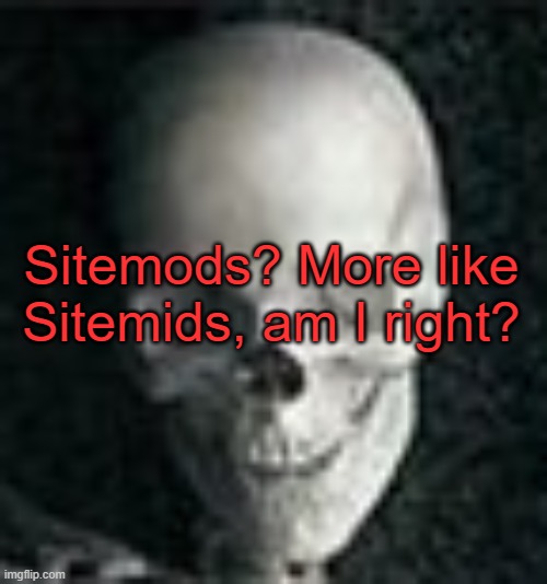 . | Sitemods? More like Sitemids, am I right? | image tagged in skull | made w/ Imgflip meme maker