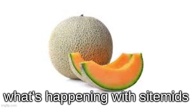 BRO THIS NSFW RULE IS FUCKING WILD LMAOO | what's happening with sitemids | image tagged in yahiamice cantaloupe | made w/ Imgflip meme maker